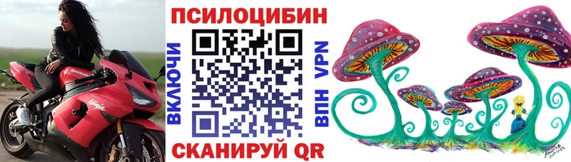 сколько стоит  Гремячинск  Галлюциногенные грибы Cubensis 